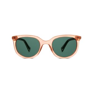 Acetate Sunglasse