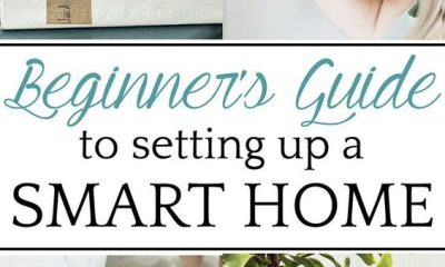 How To Set Up Smart Home With Google How To Set Up A Smart Home: Guide To Modern Living